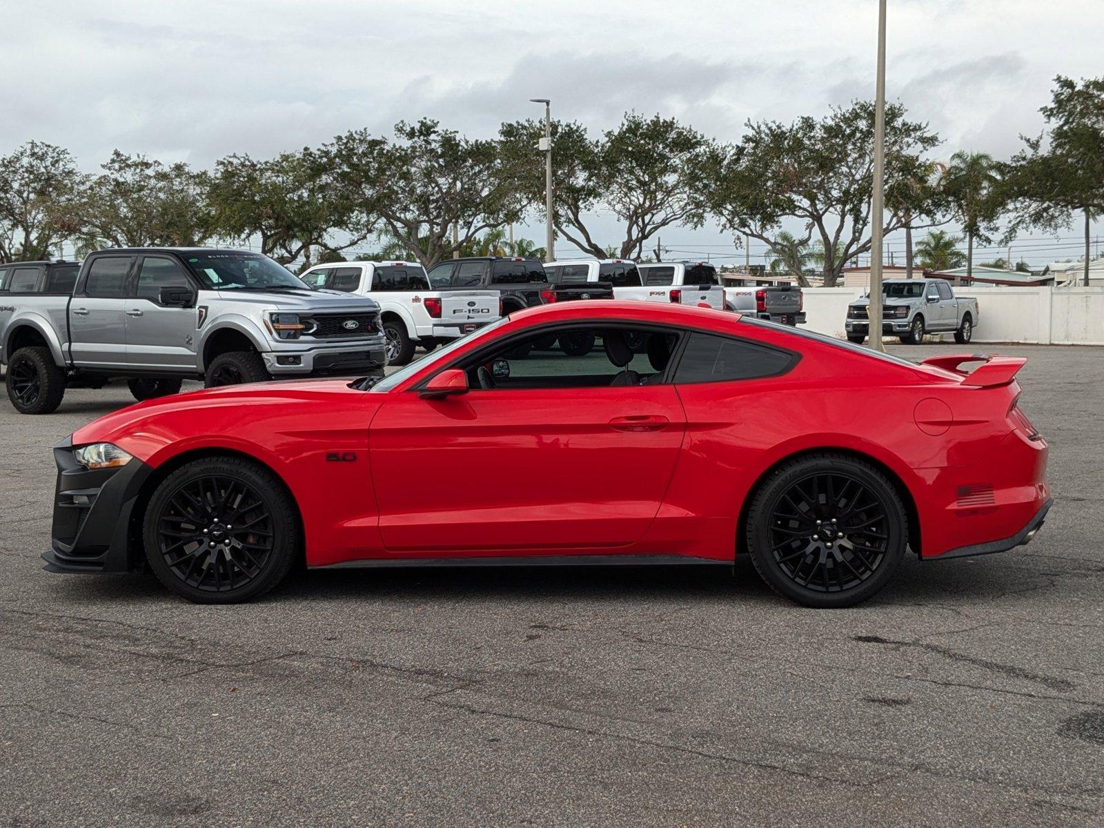 2019 Ford Mustang Vehicle Photo in St. Petersburg, FL 33713