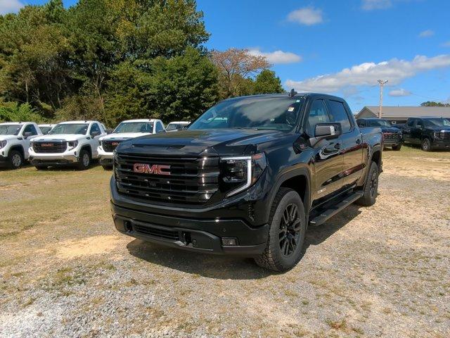 2025 GMC Sierra 1500 Vehicle Photo in ALBERTVILLE, AL 35950-0246