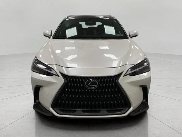 2022 Lexus NX 350 Vehicle Photo in Appleton, WI 54913