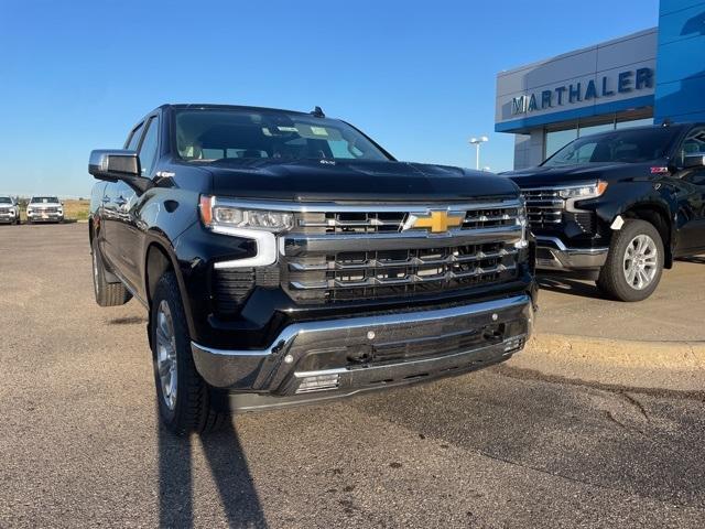 2025 Chevrolet Silverado 1500 Vehicle Photo in GLENWOOD, MN 56334-1123