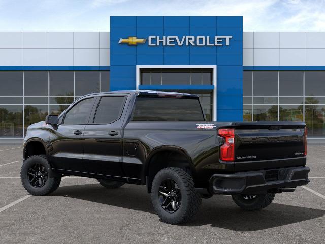 2024 Chevrolet Silverado 1500 Vehicle Photo in TIMONIUM, MD 21093-2300