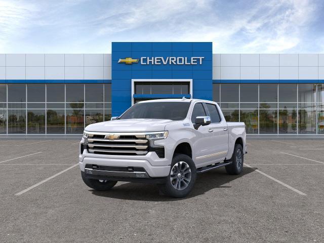 2025 Chevrolet Silverado 1500 Vehicle Photo in PAWLING, NY 12564-3219