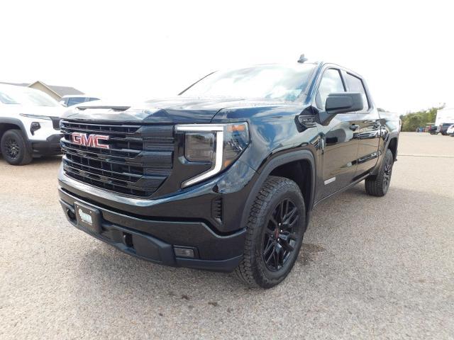 2025 GMC Sierra 1500 Vehicle Photo in GATESVILLE, TX 76528-2745