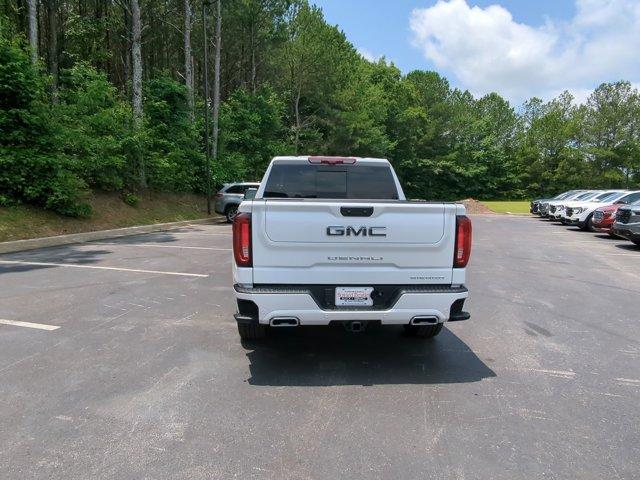 2024 GMC Sierra 1500 Vehicle Photo in ALBERTVILLE, AL 35950-0246