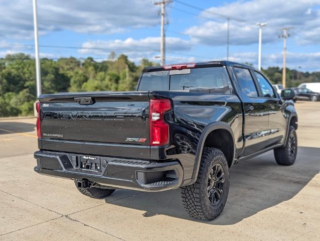 2024 Chevrolet Silverado 1500 Vehicle Photo in POMEROY, OH 45769-1023