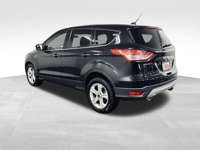 2013 Ford Escape Vehicle Photo in MEDINA, OH 44256-9631