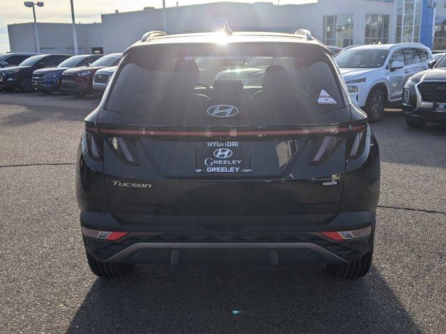 2024 Hyundai TUCSON Vehicle Photo in Greeley, CO 80634