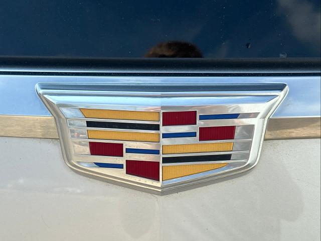 2019 Cadillac Escalade Vehicle Photo in DUNN, NC 28334-8900