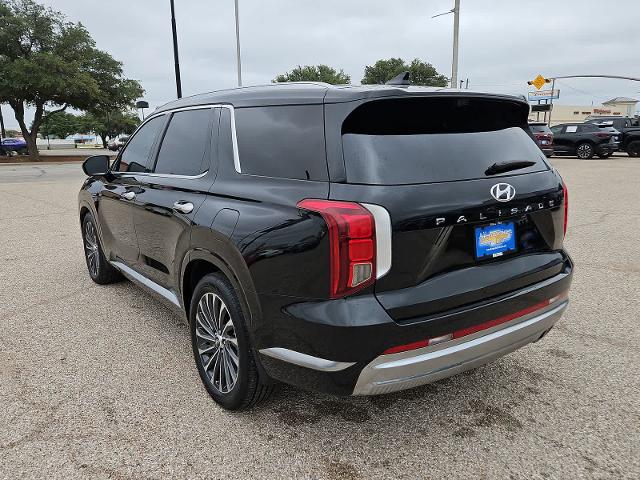 2024 Hyundai Palisade Vehicle Photo in SAN ANGELO, TX 76903-5798