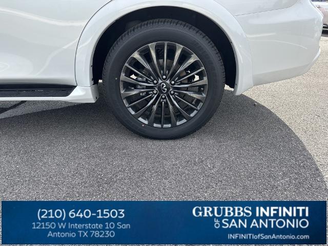 2024 INFINITI QX80 Vehicle Photo in San Antonio, TX 78230