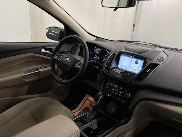 2019 Ford Escape Vehicle Photo in Appleton, WI 54913