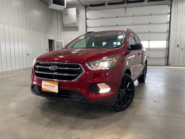 2018 Ford Escape Vehicle Photo in GLENWOOD, MN 56334-1123