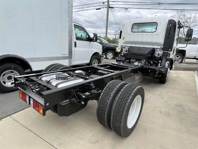 2024 Chevrolet Low Cab Forward 4500 Vehicle Photo in ALCOA, TN 37701-3235