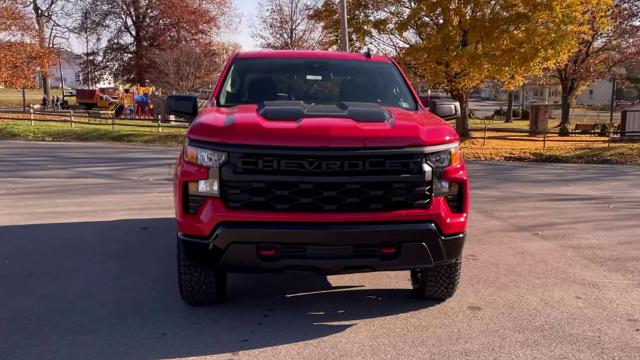 2024 Chevrolet Silverado 1500 Vehicle Photo in THOMPSONTOWN, PA 17094-9014