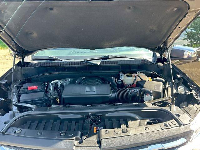 2019 Chevrolet Silverado 1500 Vehicle Photo in GREELEY, CO 80634-4125