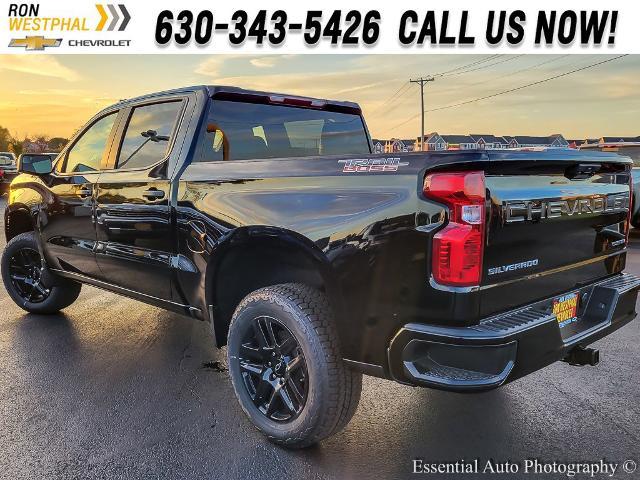 2025 Chevrolet Silverado 1500 Vehicle Photo in AURORA, IL 60503-9326