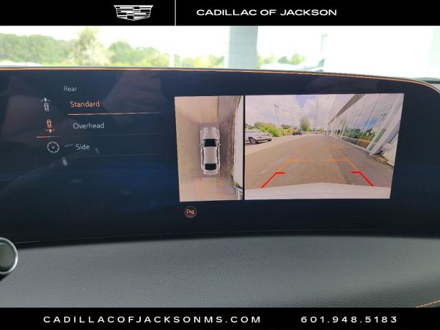 2025 Cadillac CT5 Vehicle Photo in RIDGELAND, MS 39157-4406