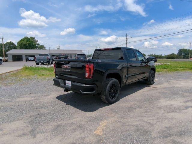 2024 GMC Sierra 1500 Vehicle Photo in ALBERTVILLE, AL 35950-0246