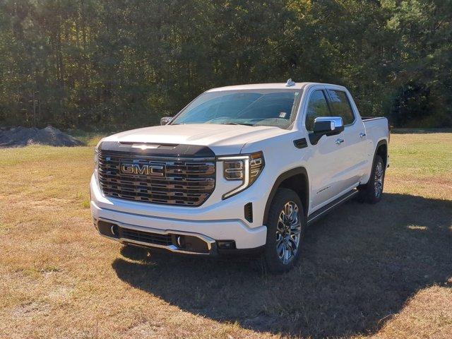 2025 GMC Sierra 1500 Vehicle Photo in ALBERTVILLE, AL 35950-0246