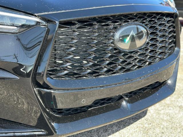 2024 INFINITI QX50 Vehicle Photo in San Antonio, TX 78230