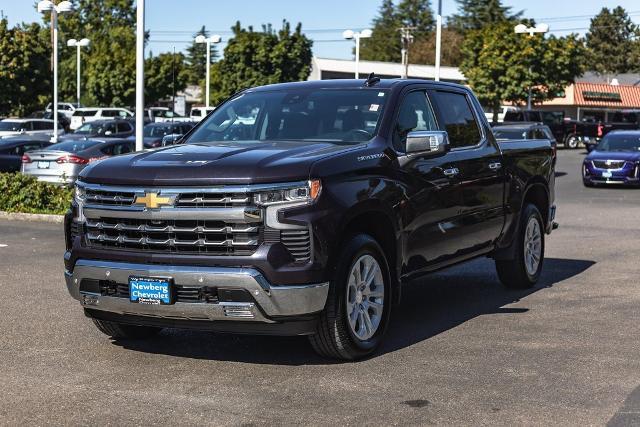 2023 Chevrolet Silverado 1500 Vehicle Photo in NEWBERG, OR 97132-1927