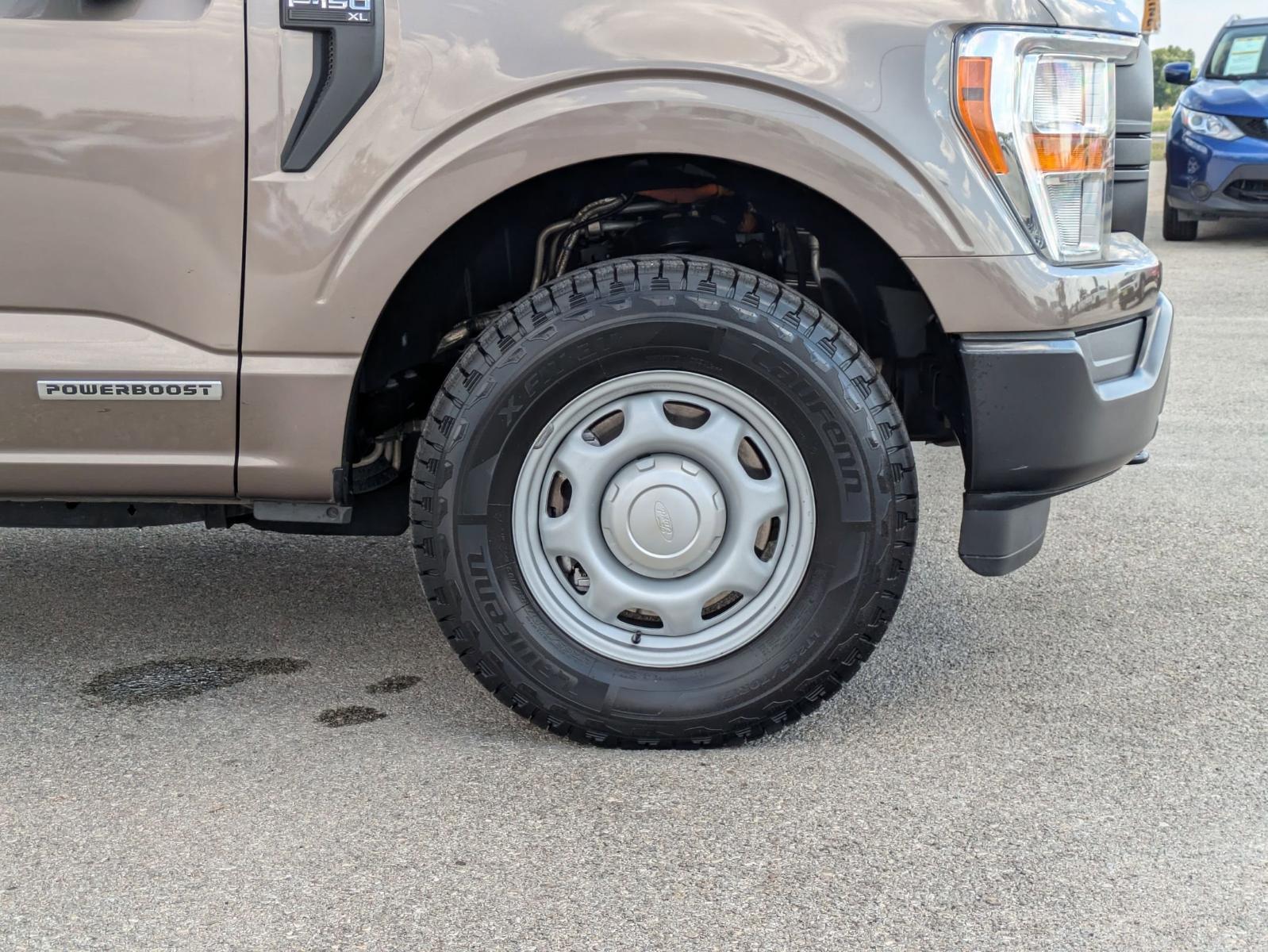 2021 Ford F-150 Vehicle Photo in Seguin, TX 78155