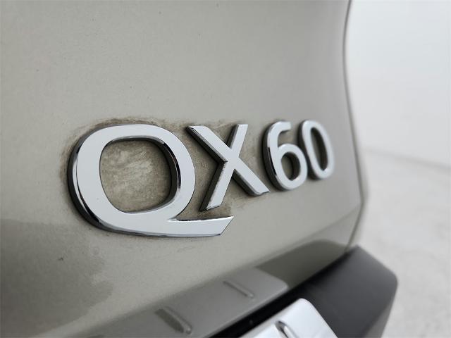 2023 INFINITI QX60 Vehicle Photo in Grapevine, TX 76051