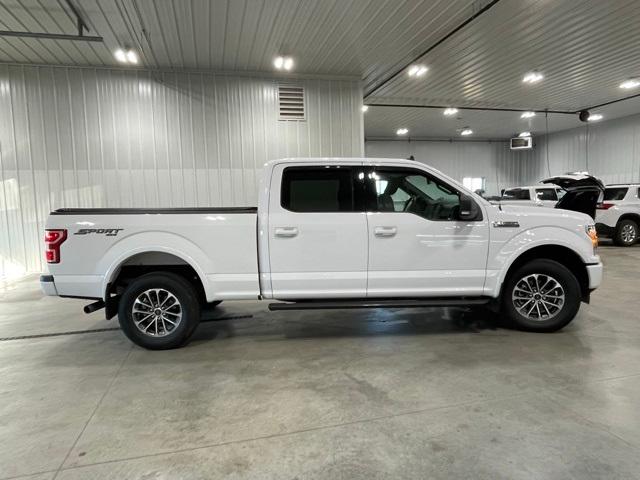 2020 Ford F-150 Vehicle Photo in GLENWOOD, MN 56334-1123