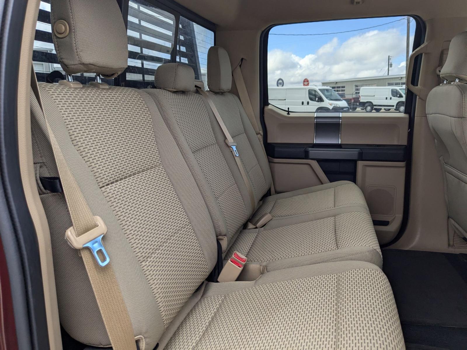 2015 Ford F-150 Vehicle Photo in Seguin, TX 78155