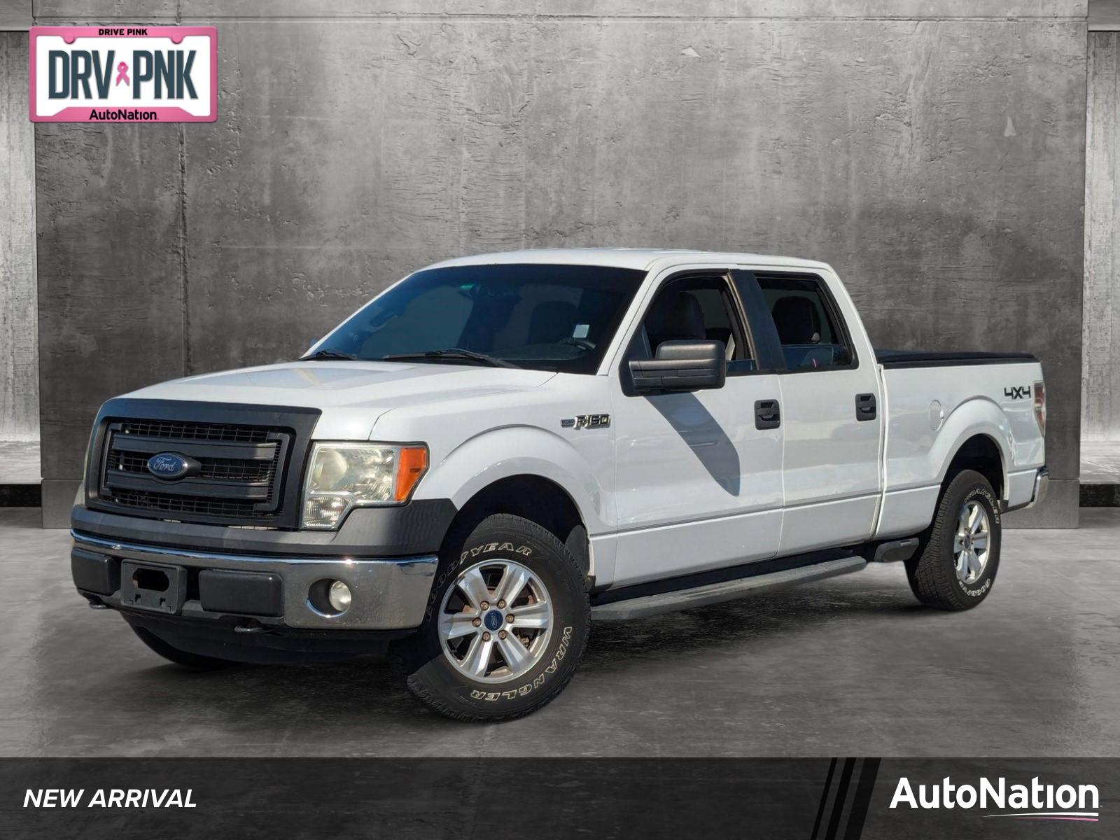 2014 Ford F-150 Vehicle Photo in St. Petersburg, FL 33713