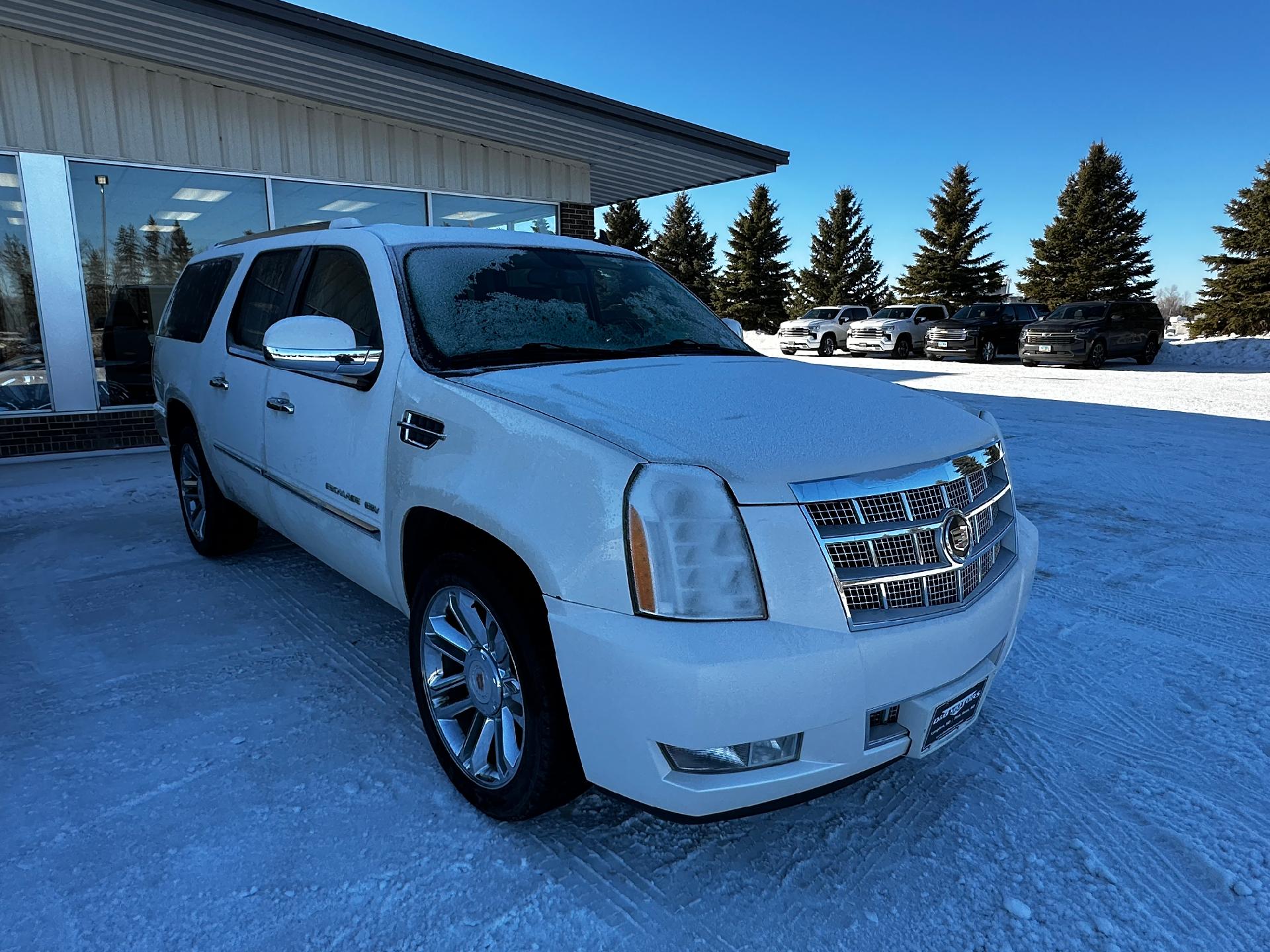 Used 2014 Cadillac Escalade ESV Platinum Edition with VIN 1GYS4KEF3ER188757 for sale in Langdon, ND