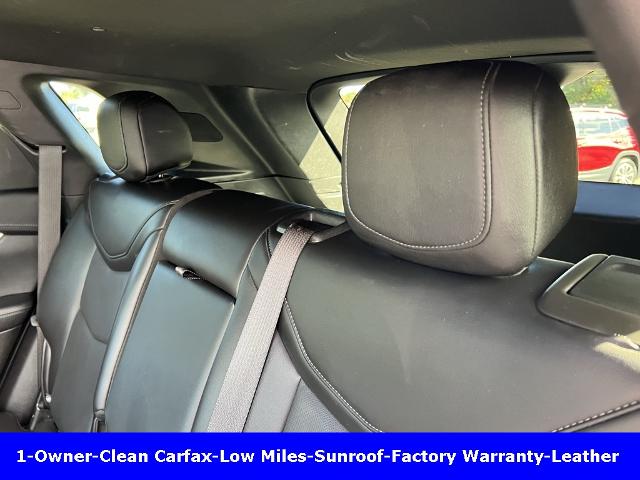 2021 Cadillac XT5 Vehicle Photo in CHICOPEE, MA 01020-5001