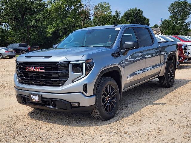 2024 GMC Sierra 1500 Vehicle Photo in PARIS, TX 75460-2116