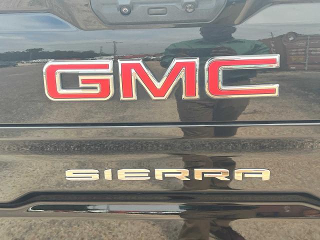 2022 GMC Sierra 1500 Vehicle Photo in DUNN, NC 28334-8900