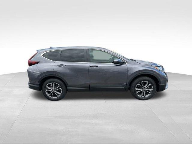 2022 Honda CR-V Vehicle Photo in MEDINA, OH 44256-9631