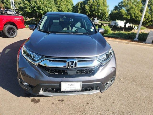 2019 Honda CR-V Vehicle Photo in LITTLETON, CO 80124-2754