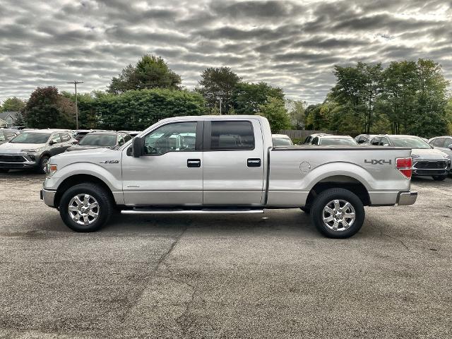 2014 Ford F-150 Vehicle Photo in WILLIAMSVILLE, NY 14221-2883