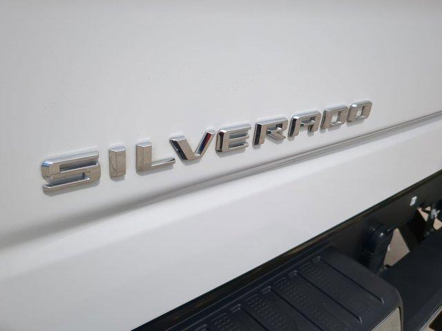 2023 Chevrolet Silverado 1500 Vehicle Photo in SELMA, TX 78154-1460