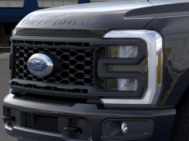 2024 Ford Super Duty F-250 SRW Vehicle Photo in Weatherford, TX 76087-8771