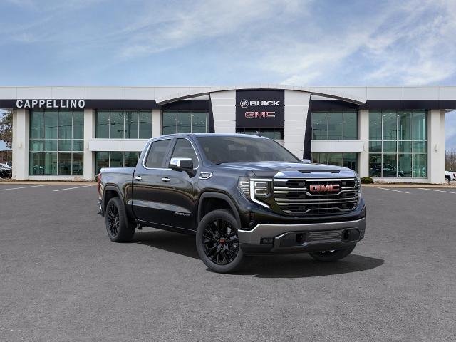 2024 GMC Sierra 1500 Vehicle Photo in WILLIAMSVILLE, NY 14221-2883