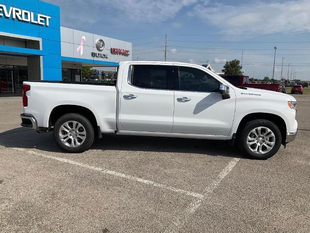 2023 Chevrolet Silverado 1500 Vehicle Photo in PONCA CITY, OK 74601-1036