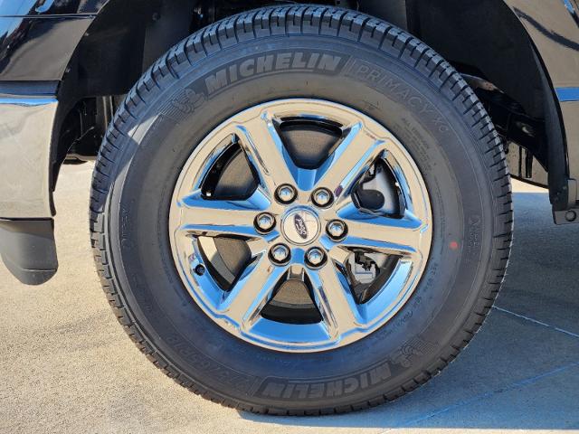 2024 Ford F-150 Vehicle Photo in Stephenville, TX 76401-3713