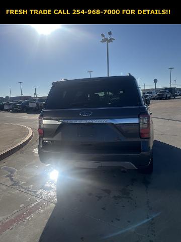 2019 Ford Expedition Vehicle Photo in Stephenville, TX 76401-3713