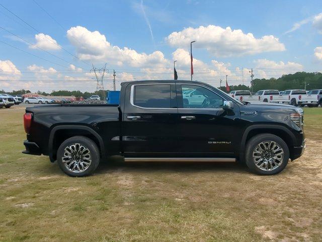 2025 GMC Sierra 1500 Vehicle Photo in ALBERTVILLE, AL 35950-0246