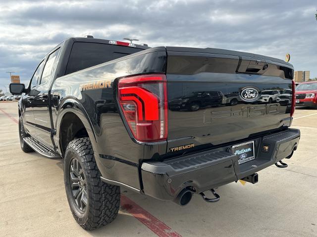 2024 Ford F-150 Vehicle Photo in Terrell, TX 75160