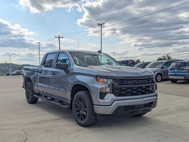 2024 Chevrolet Silverado 1500 Vehicle Photo in POMEROY, OH 45769-1023