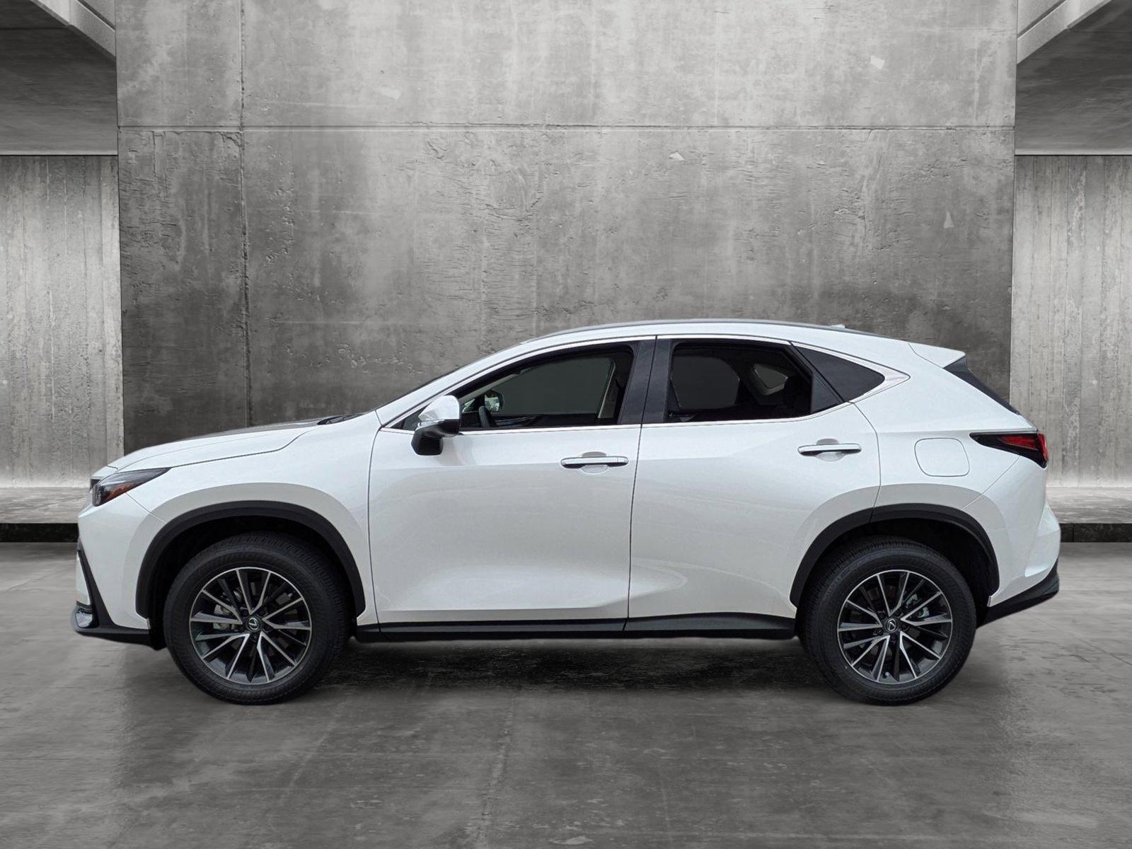 2025 Lexus NX 250 Vehicle Photo in Clearwater, FL 33761