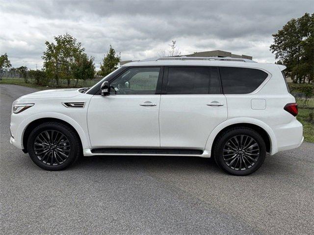 2024 INFINITI QX80 Vehicle Photo in Willow Grove, PA 19090