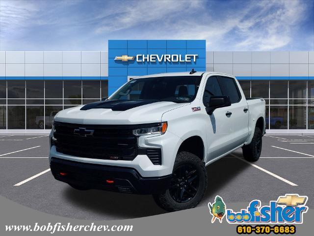 2024 Chevrolet Silverado 1500 Vehicle Photo in READING, PA 19605-1203