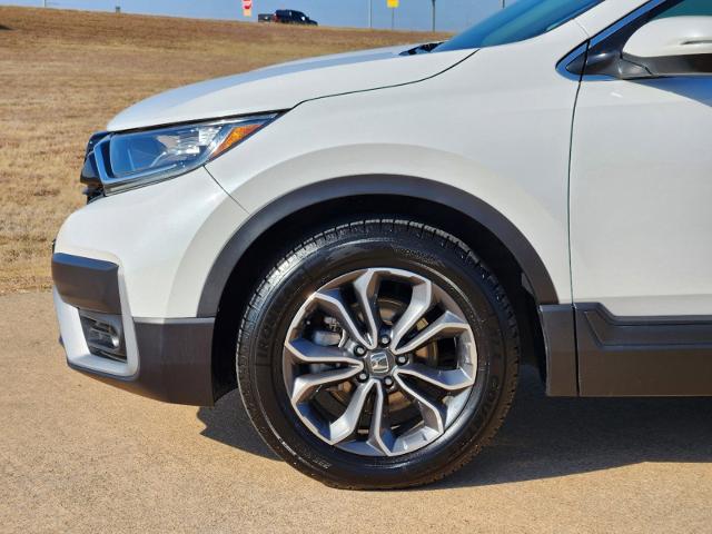 2022 Honda CR-V Vehicle Photo in Denison, TX 75020